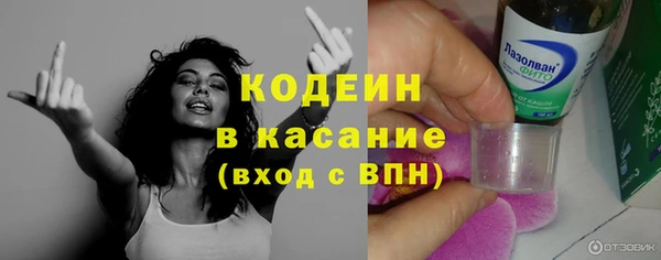 стаф Арсеньев