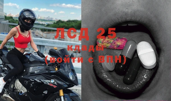 стаф Арсеньев