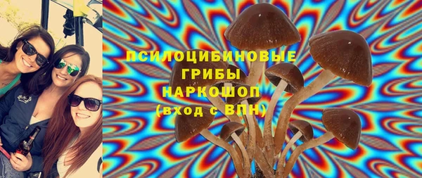 стаф Арсеньев