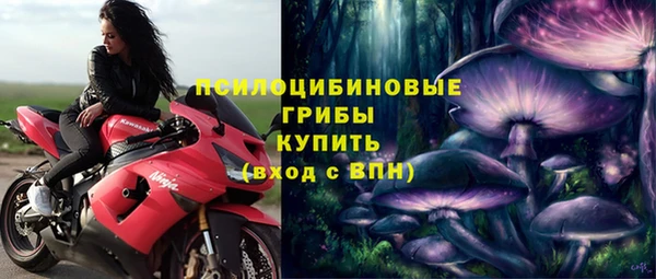 стаф Арсеньев